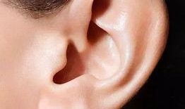 耳朵耳在线观看,跟随耳朵耳在线探索音乐世界